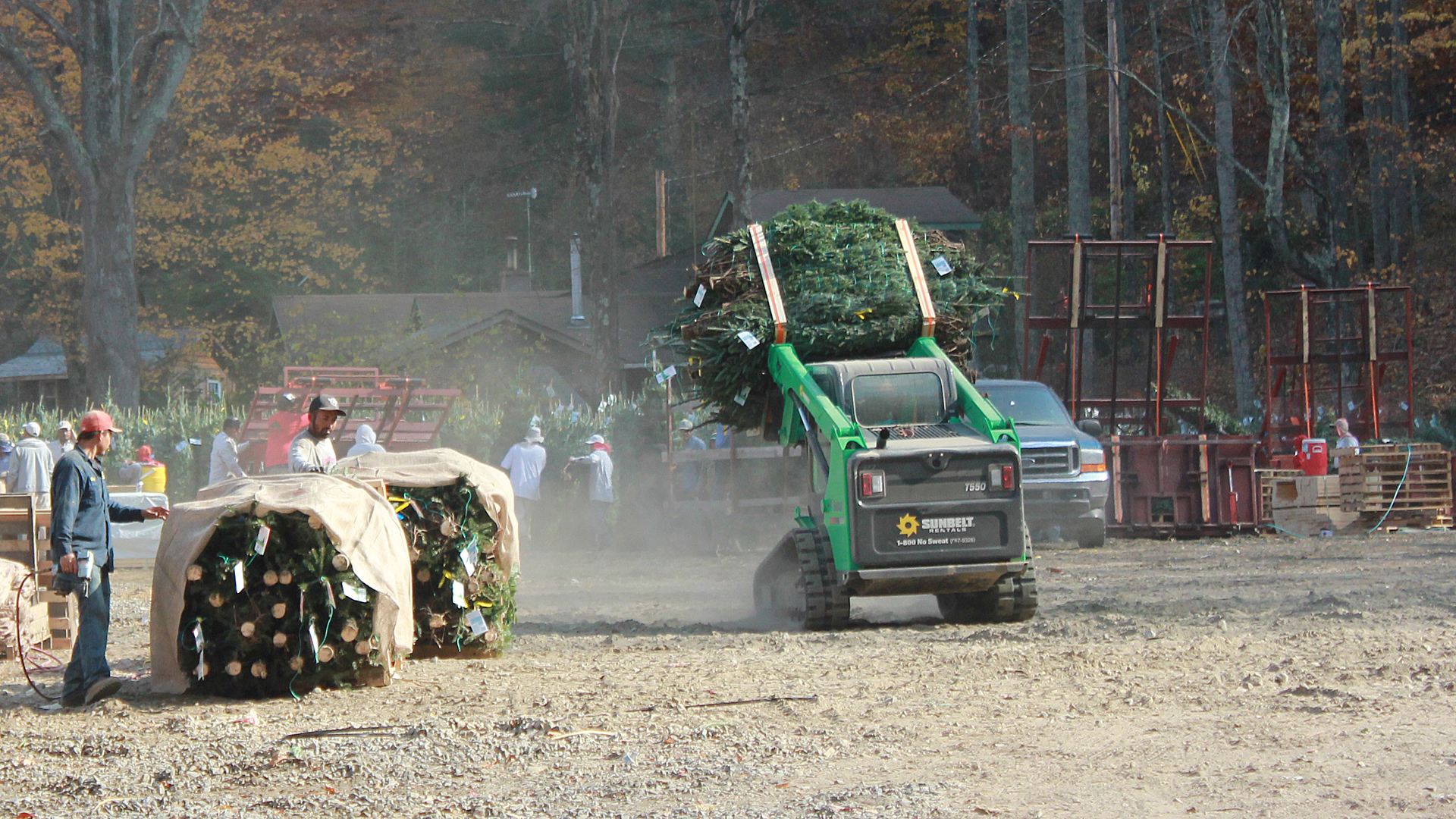 Christmas Tree Farms Near Blue Ridge Parkway in North Carolina