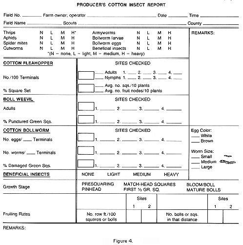 Figure 4. Producer's cotton insect report