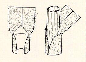 PG45R.JPG (12335 bytes)