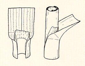 PG54R.JPG (10166 bytes)