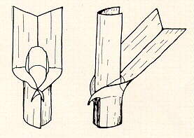 PG22R.JPG (10485 bytes)