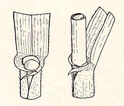PG36R.JPG (11478 bytes)