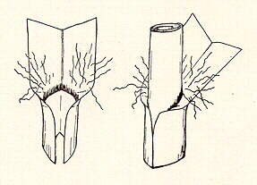 PG42R.JPG (10336 bytes)