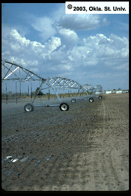 Irrigation