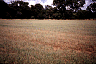 foldam1.gif