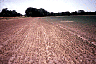 grshop5.gif