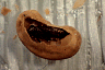 sidchl2.gif