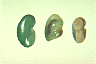 sidchl3.gif