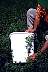 tn_sam-1_jpg.jpg (1756 bytes)