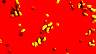 dodder-04.jpg 71 Kb