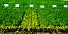 plhop-06.jpg 83 kb