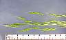 tn_cheat-09_jpg.jpg (1803 bytes)