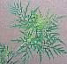tn_comragweed-13_jpg.jpg (2168 bytes)