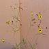 tn_pcoreopsis-05_jpg.jpg (1367 bytes)